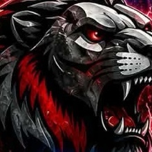Arizona Lions logo