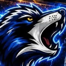 Desert Valley Coyotes logo